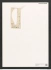 Diatomeae indet. Zeichnungen Sammlung Grunow (NHMW-BOT-W0370171)